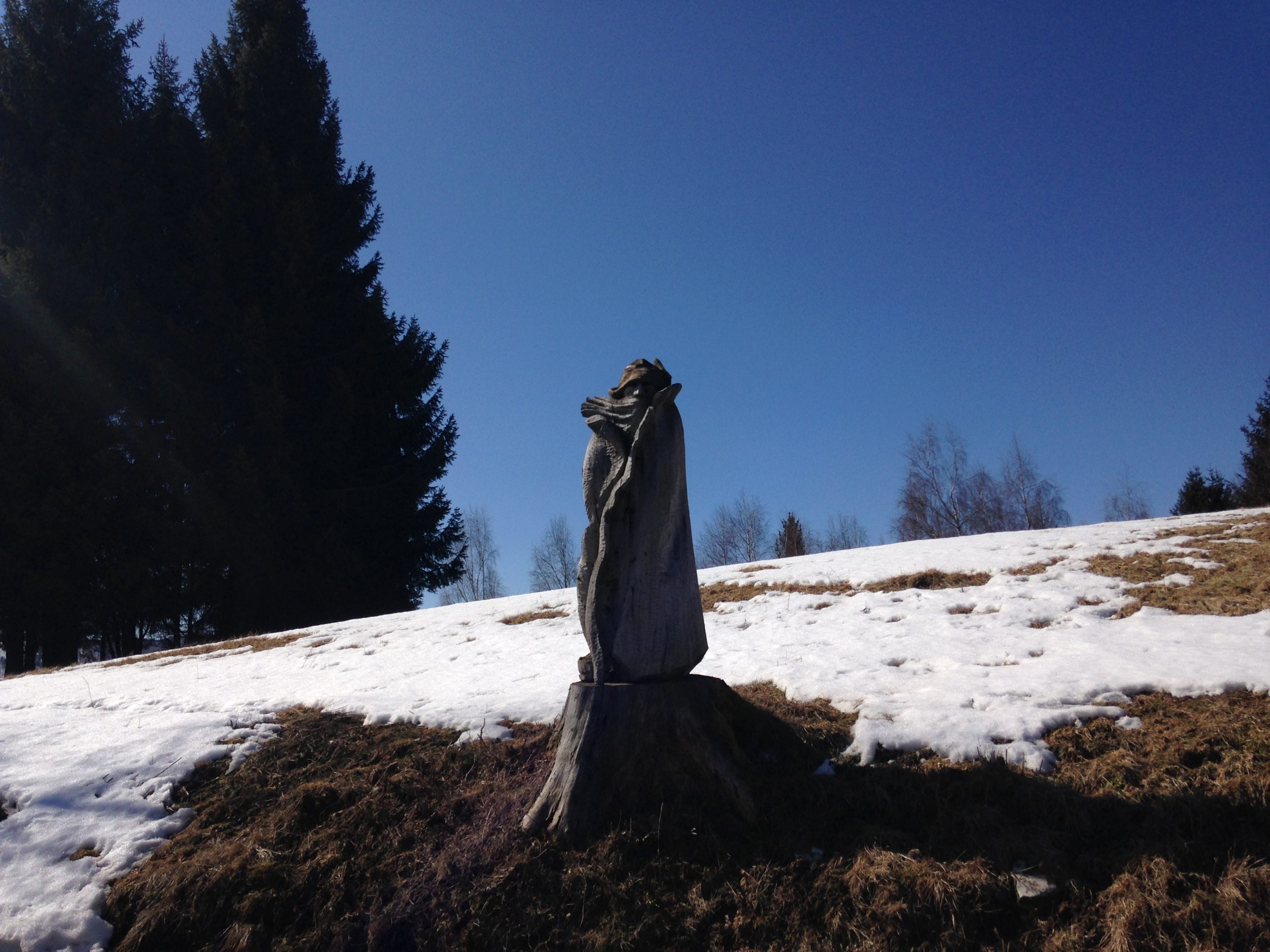 IL CORAGGIO DI VIVERE DA ALPINI