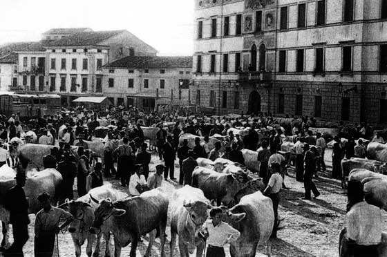 Bòi e paradori