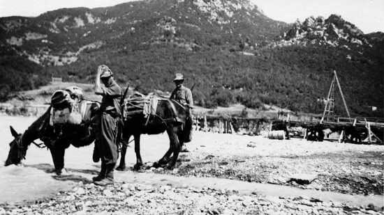 Alpini e muli in abbeverata sulla Vojussa, nelle vicinanze del Ponte di Perati