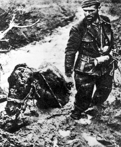 Alpini e muli nel fango dell'Albania