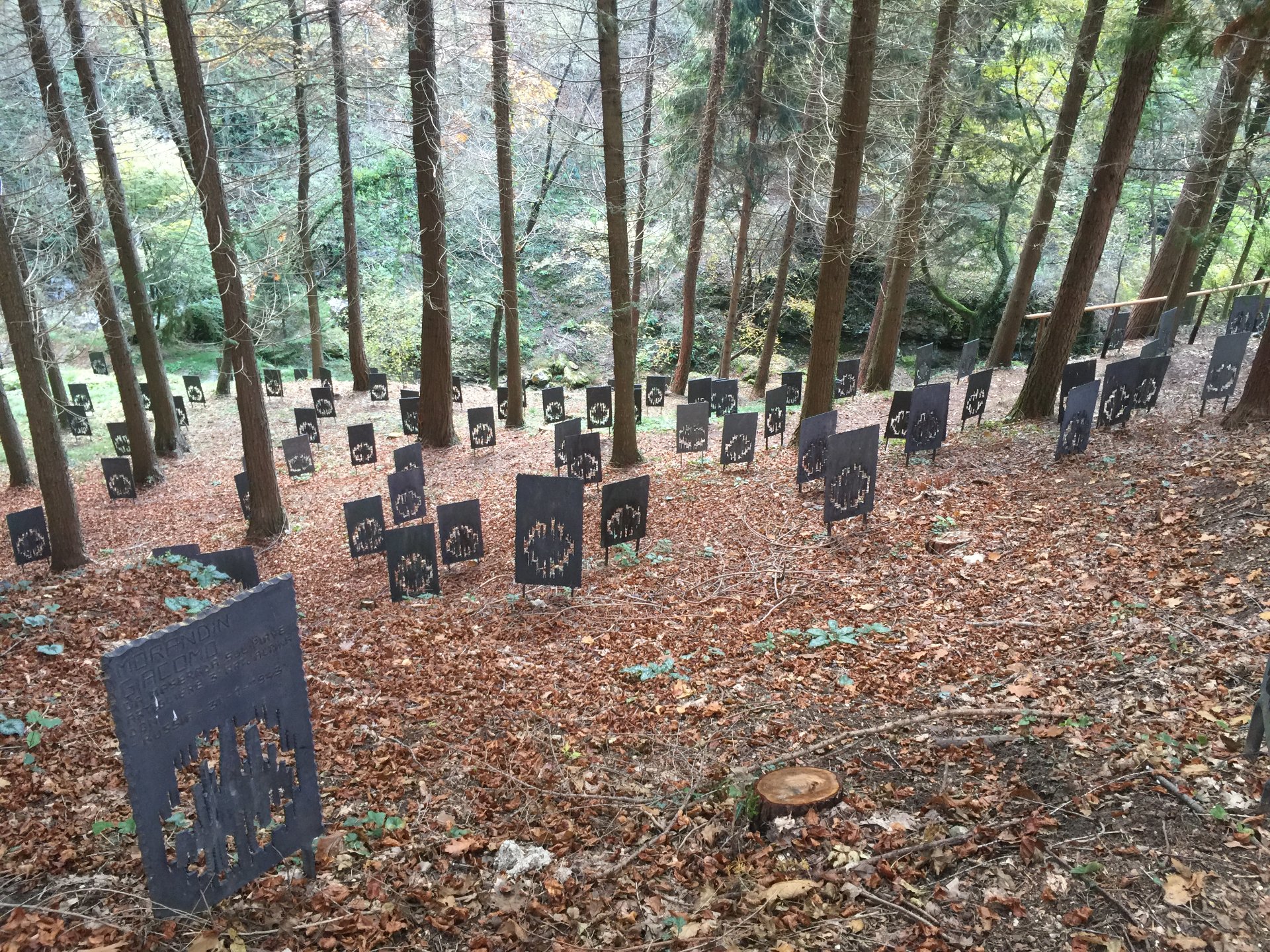 Veduta del Bosco delle Penne Mozze a Cison di Valmarino, memoriale dedicato agli Alpini caduti