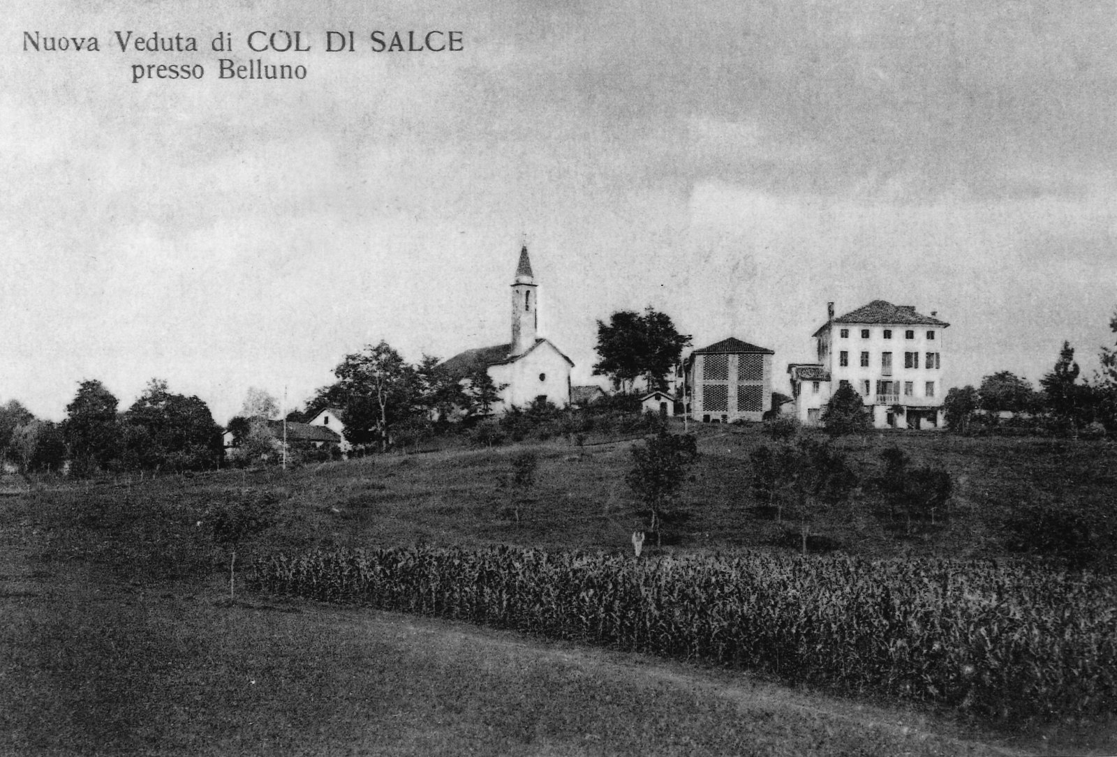 Cartolina con un campo di granoturco in primo piano e, sul colle, il campanile, la chiesa e una grande villa